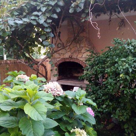 Apartment Maja Ζαντάρ Εξωτερικό φωτογραφία